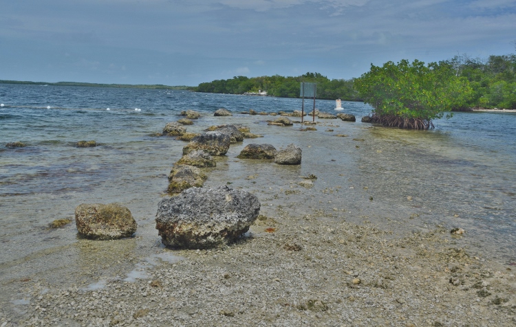 beach scene